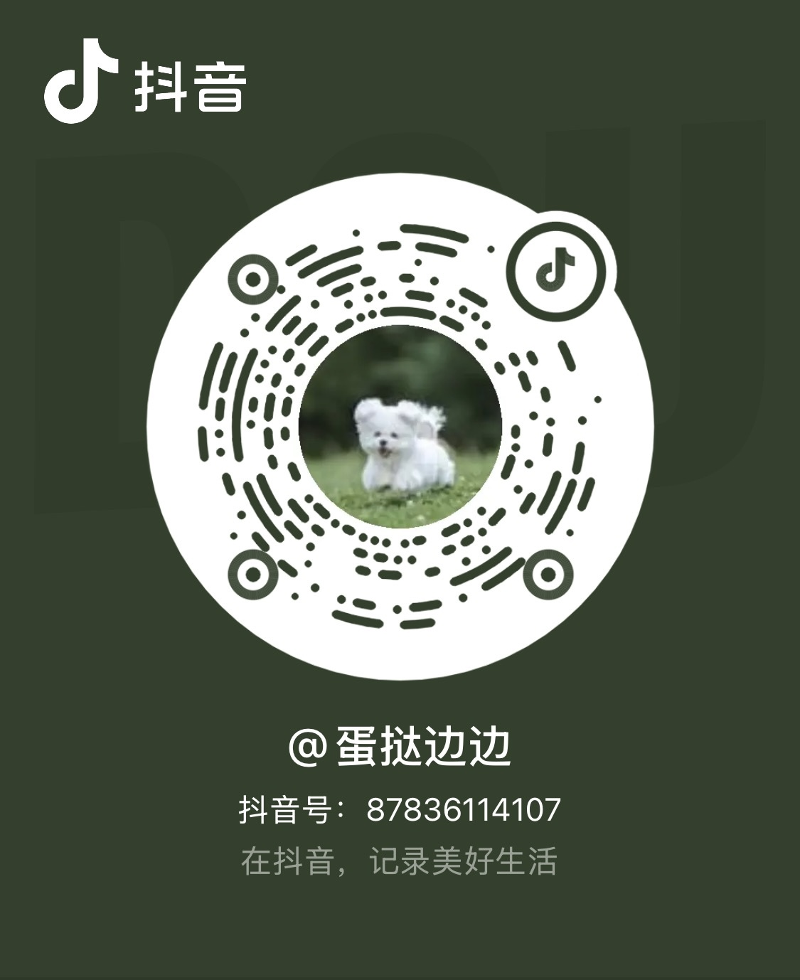 Douyin QR